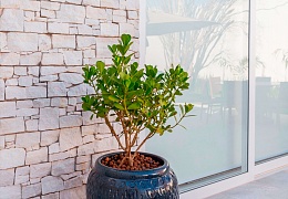 3D панели RKS SLATE Песчаник White Sandstone Country